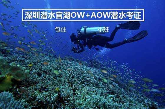熊仔超级找茬
