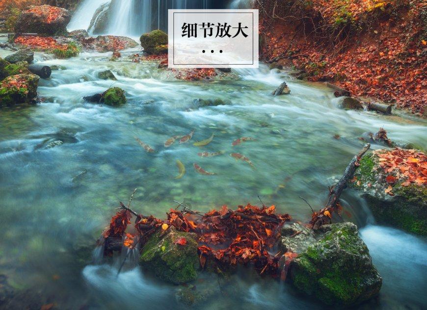 滨州海关:阳信进境肉类指定监管场地2023年共通关放行进口牛肉84批、4924.8万元